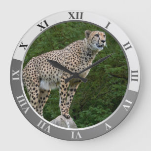 Reloj Redondo Grande Cheetah