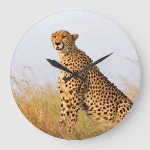Reloj Redondo Grande Cheetah