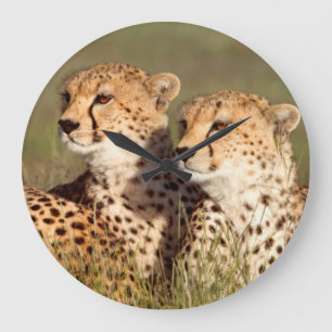 Reloj Redondo Grande Cheetah Lying In Grass, Ngorongoro Conservation