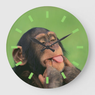 Reloj Redondo Grande Chimpancé barato