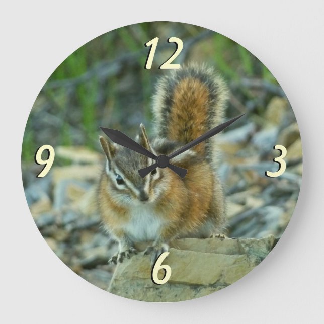 Reloj Redondo Grande Chipmunk en el Parque Nacional Glaciar I (Anverso)