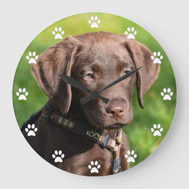 Reloj Redondo Grande Chocolate Lab Cachorro (Anverso)