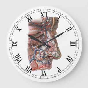 Reloj Redondo Grande Ciencia vintage anatomía humana, cara con nariz