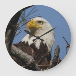 Reloj Redondo Grande Cierre de la cabeza del águila calva