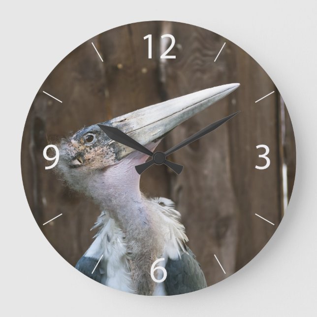 Reloj Redondo Grande Cigüeña Marabú (Anverso)