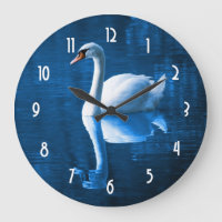 cisne blanco bonito flotando en un lago azul