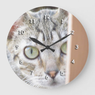 Reloj Redondo Grande Clock - Kitten Watching