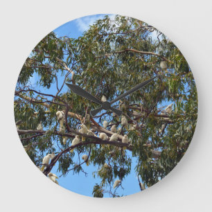 Reloj Redondo Grande Cockatoos salvajes blancos australianos,
