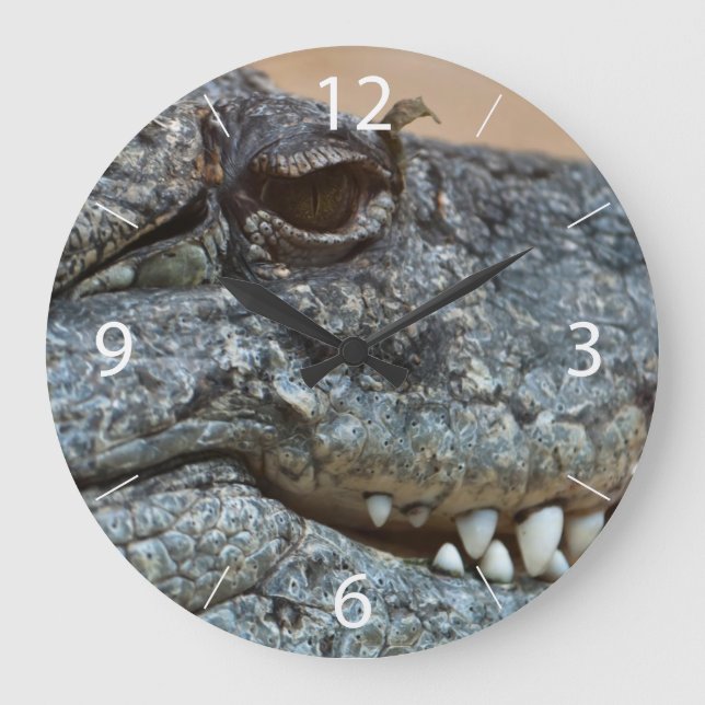 Reloj Redondo Grande Cocodrilo (Anverso)