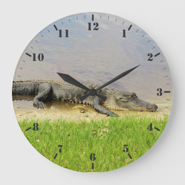 Reloj Redondo Grande cocodrilo de Florida Bonito y tranquilo (Anverso)