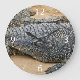 Reloj Redondo Grande Cocodrilos