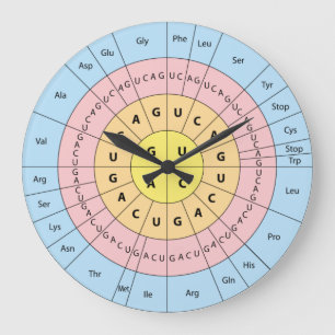 Reloj Redondo Grande Código genético