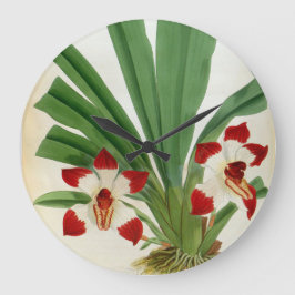Reloj Redondo Grande Colección Pescatorea Klabochurum Orchid Lindenia