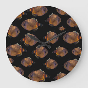 Reloj Redondo Grande Colegio De Pescado De La Azotea,