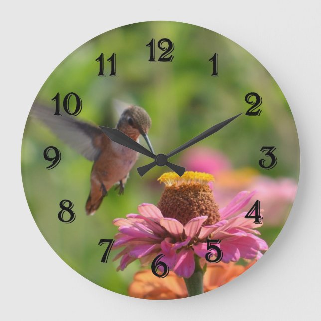 Reloj Redondo Grande Colibrí con la flor del Zinnia (Anverso)