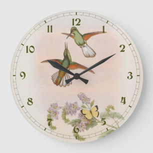 Reloj Redondo Grande Colibrí de cola blanca (Eupherusa poliocerca)