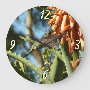 Reloj Redondo Grande Colibrí de Garganta Negra en Vuelo