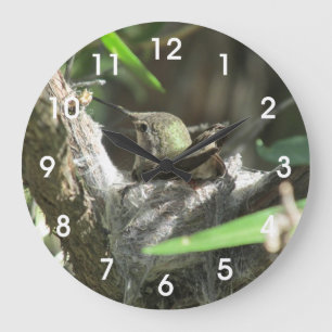 Reloj Redondo Grande Colibrí en jerarquía