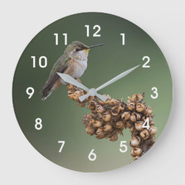 Reloj Redondo Grande Colibrí Naranja pequeño