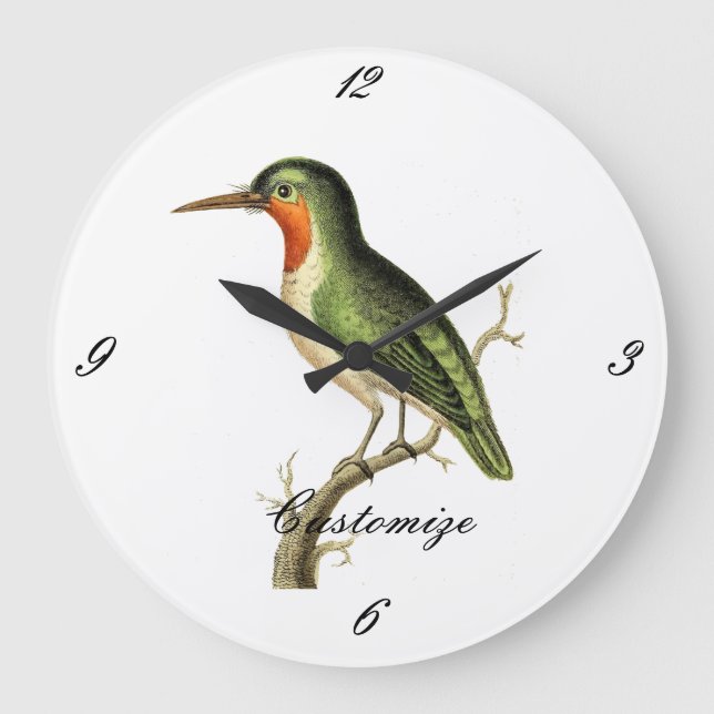 Reloj Redondo Grande Colibrí Perdido Thunder_Cove (Anverso)