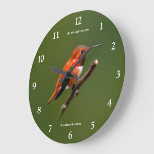 Reloj Redondo Grande Colibrí rufo asombroso en el cerezo