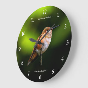 Reloj Redondo Grande Colibrí Rufous Impresionante en Árbol Frutal