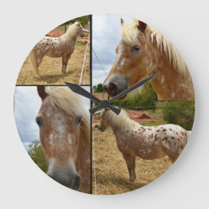Reloj Redondo Grande Collage de fotos de Caballos Appaloosa,