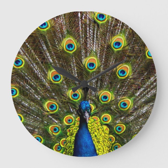 Reloj Redondo Grande Colorful peacock (Anverso)