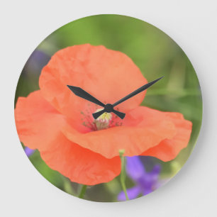 Reloj Redondo Grande Colorful summer field poppy flower and mouse peas