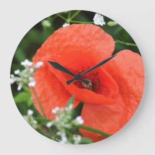 Reloj Redondo Grande Colorful summer field poppy flower in green vegeta
