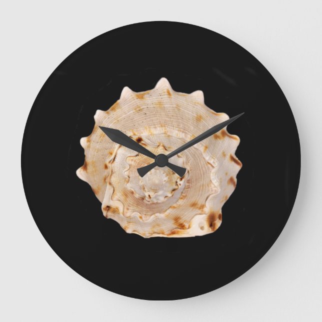 Reloj Redondo Grande Conch Shell Wall Clock (Anverso)