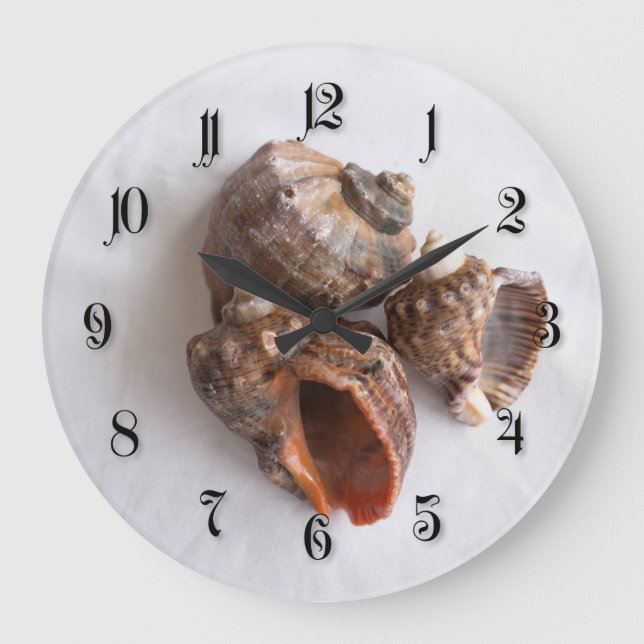 Reloj Redondo Grande Conch shells (Anverso)