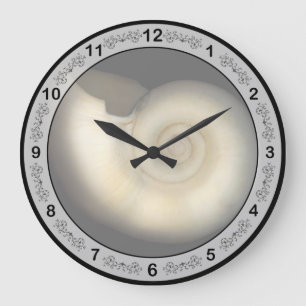Reloj Redondo Grande Concha - Concología - Nautilus