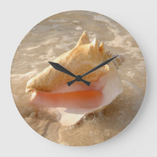 Reloj Redondo Grande Concha Shell en arena en la playa tropical