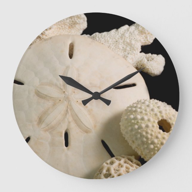 Reloj Redondo Grande Conchas Blancas De Mar Y Dólar De Arena (Anverso)