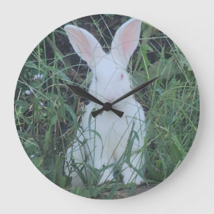 Reloj Redondo Grande Conejo feliz