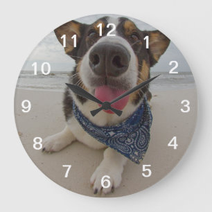 Reloj Redondo Grande Corgi corto con lengua fuera