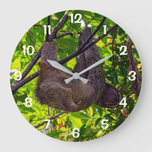Reloj Redondo Grande Costa Rica - Feliz Perezoso Perezoso, Antonio Manu