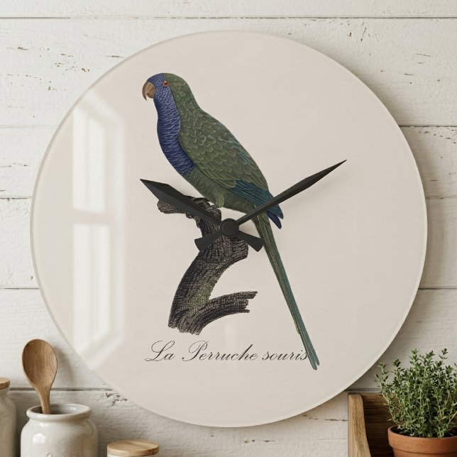 Reloj Redondo Grande Cotorra Argentina o Cotorra de Jardín, Myiopsitta  (Monk Parakeet or Monk Parrot, Myiopsitta Monachus. Large Clock)