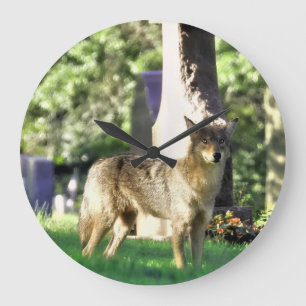 Reloj Redondo Grande Coyote at the cemetery