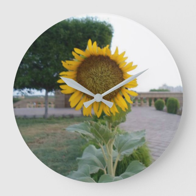 Reloj Redondo Grande Crea tu propio tiempo perfecto (Anverso)