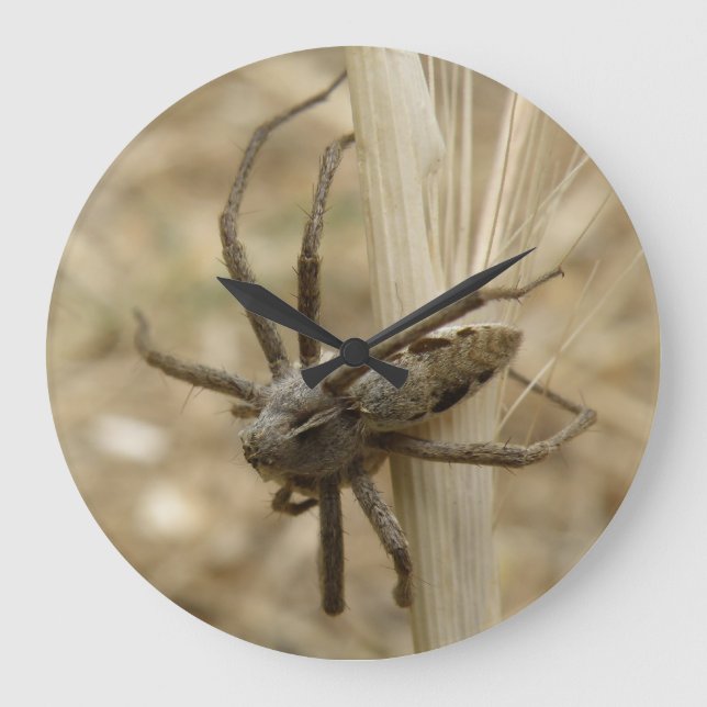 Reloj Redondo Grande Creepy Crawly Spider Wall Clock (Anverso)