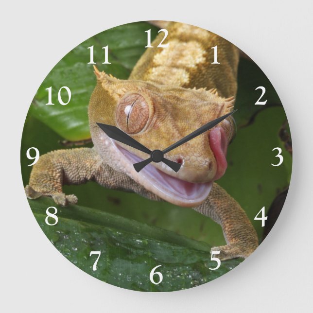 Reloj Redondo Grande Crested Gecko (Anverso)