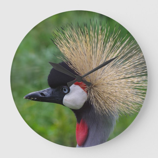 Reloj Redondo Grande Crowned Crane (Anverso)
