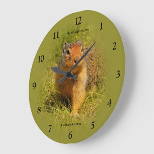 Reloj Redondo Grande Curioso Lindo Hambriento Ardilla Columbiana de Tie