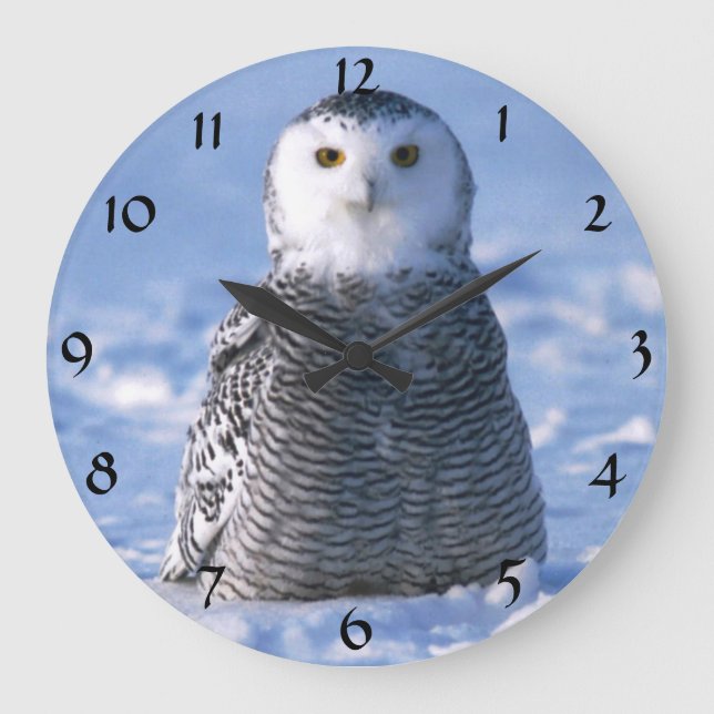 Reloj Redondo Grande Cute Alaska Arctic Snowy Owl Winter Photo diseñado (Anverso)