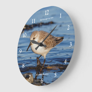 Reloj Redondo Grande Cute andador playerito de costa chorlito
