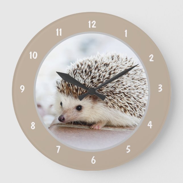 Reloj Redondo Grande Cute Baby Hedgehog (Anverso)