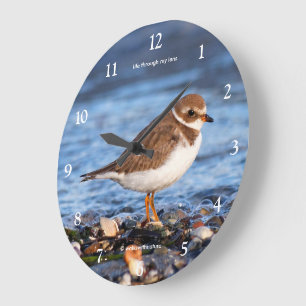 Reloj Redondo Grande Cute Chorlito Semipalmeado Playero Ave Playera