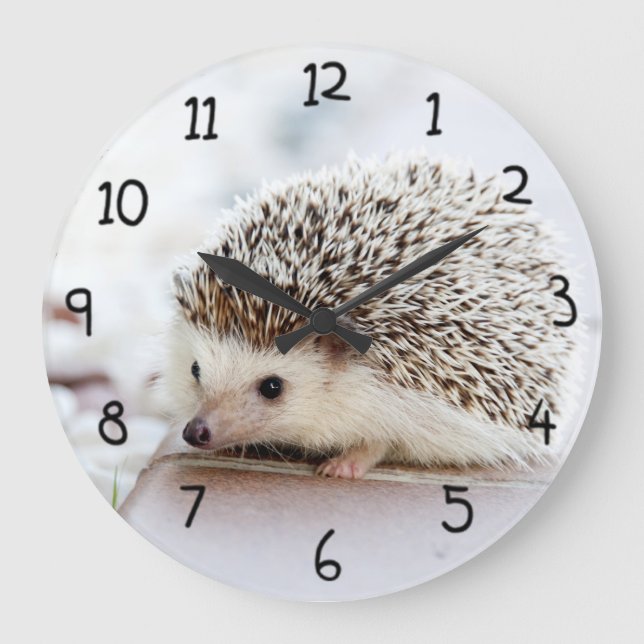 Reloj Redondo Grande Cute Hedgehog (Anverso)